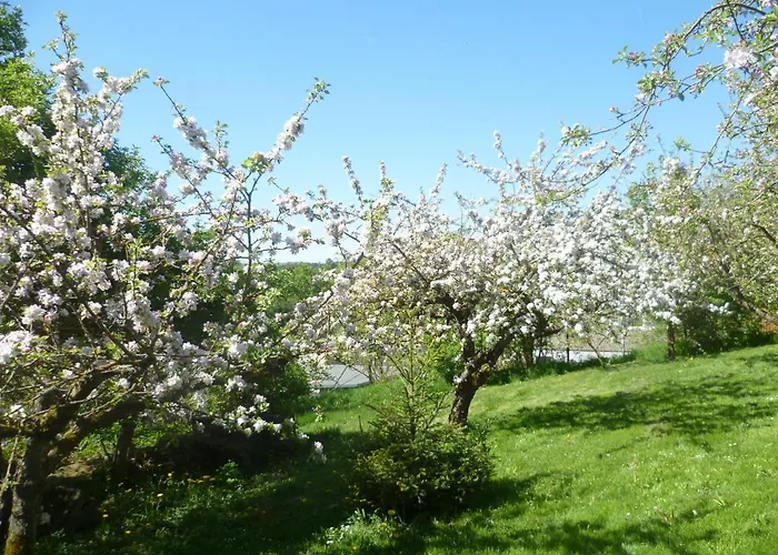 Harzurlaub Heyder