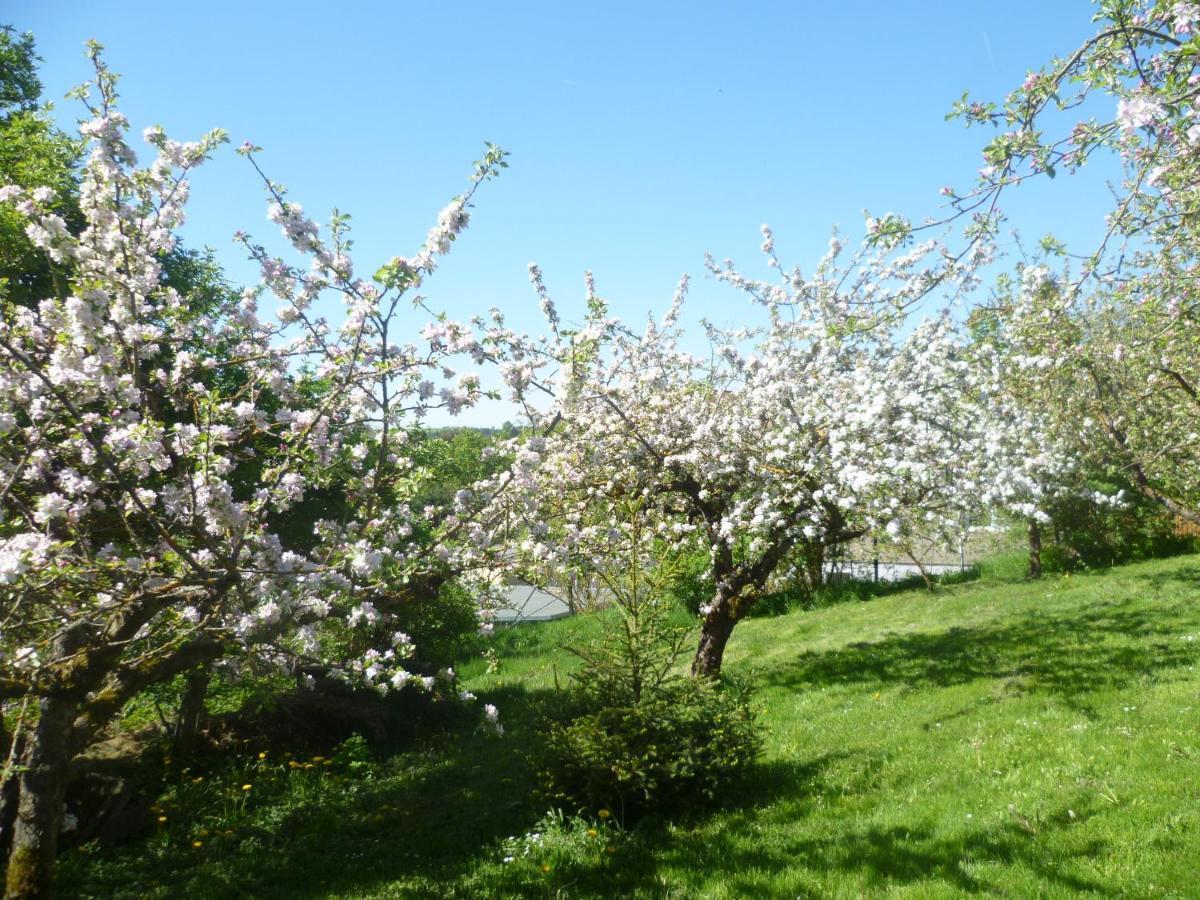 Harzurlaub Heyder Elbingerode (Saxony-Anhalt)