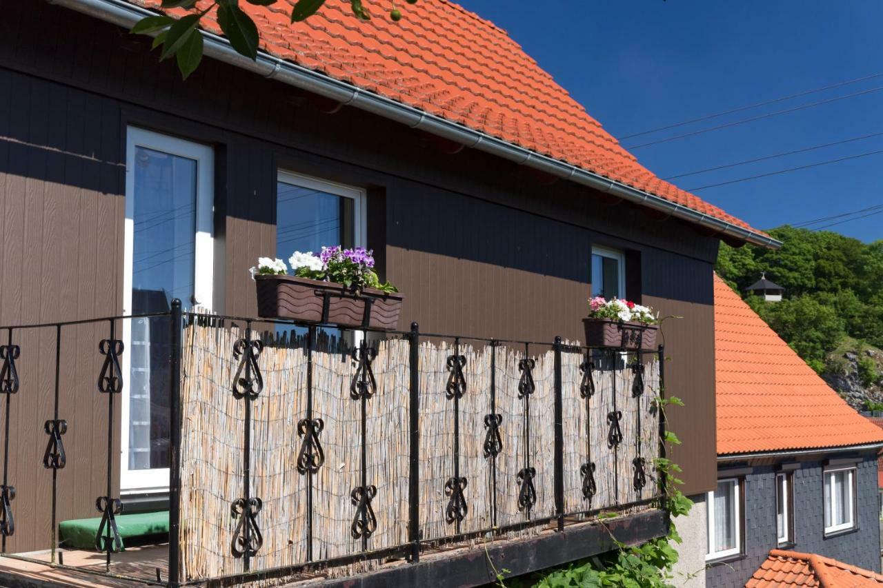 Harzurlaub Heyder Apartment Elbingerode (Saxony-Anhalt)